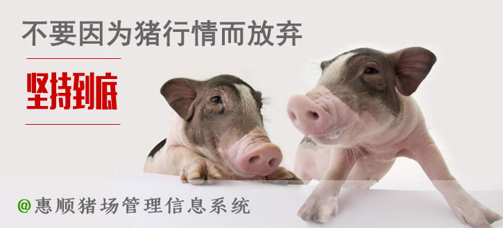 “惠顺猪场管理信息系统”